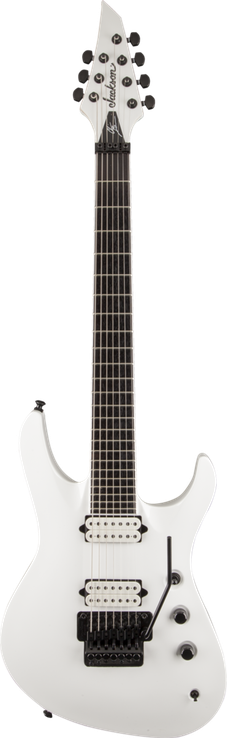 Pro Series Signature Chris Broderick Soloist™ 7