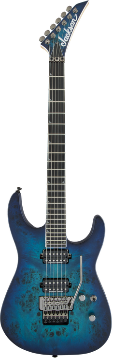 Pro Series Soloist™ SL2P MAH