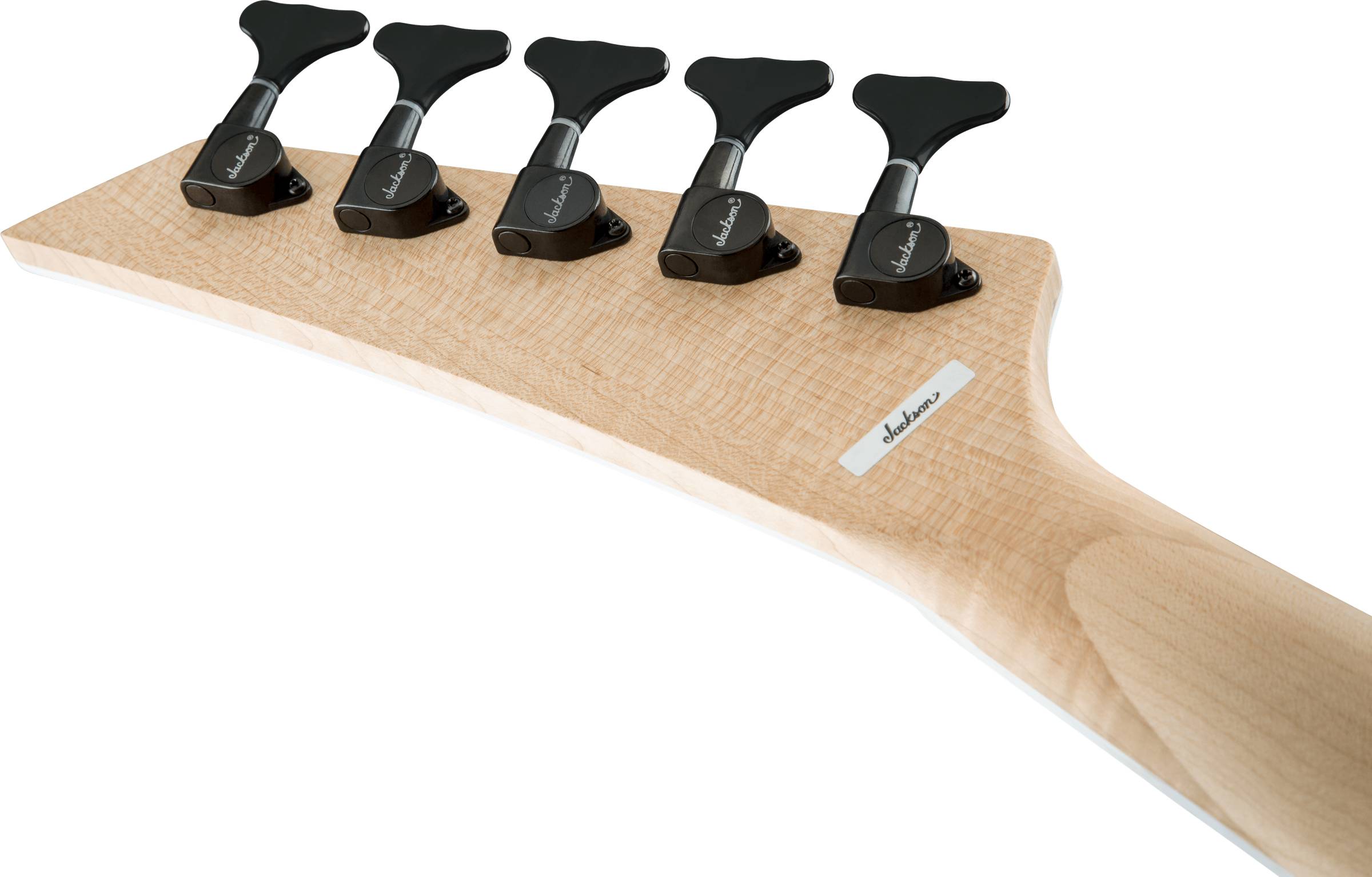 X Series Signature David Ellefson Concert™ Bass CBX V