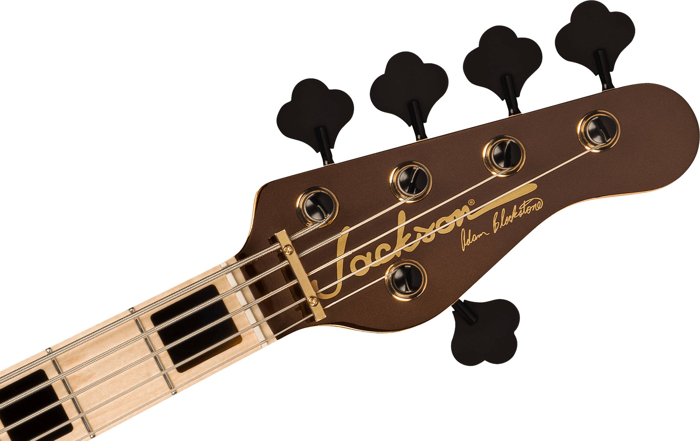 Pro Series Signature Adam Blackstone 