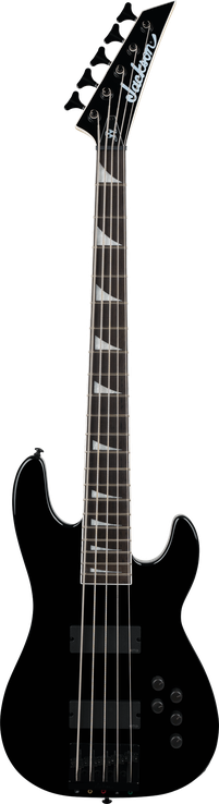 Legend Series Limited Edition Signature David Ellefson CB V Concert Bass™, Ebony Fingerboard, Gloss Black