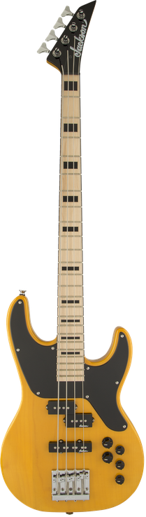 X Series Concert™ Bass CBXNTM IV